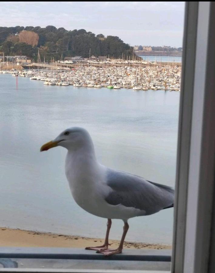 Nid De Corsaire, Vue Mer & Acces Plage Saint-Malo Esterno foto
